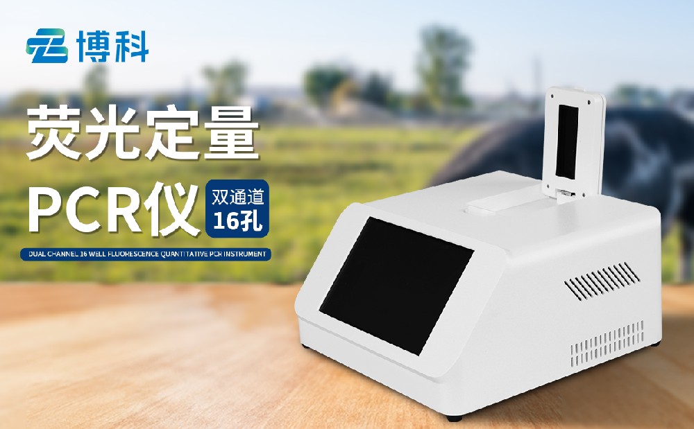 双通道非洲猪瘟1xbet官网