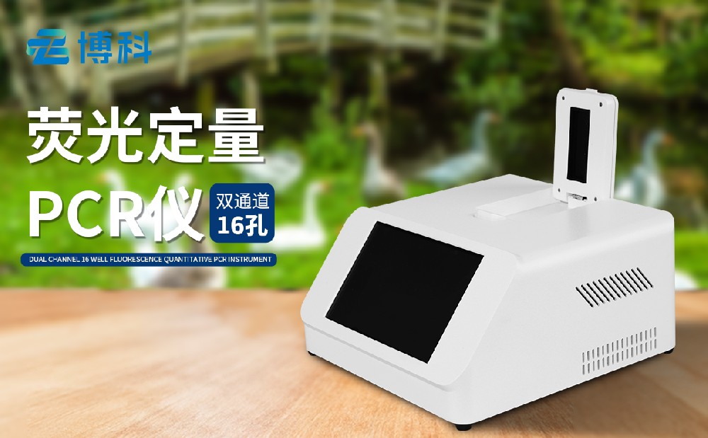 非洲猪瘟1xbet官网