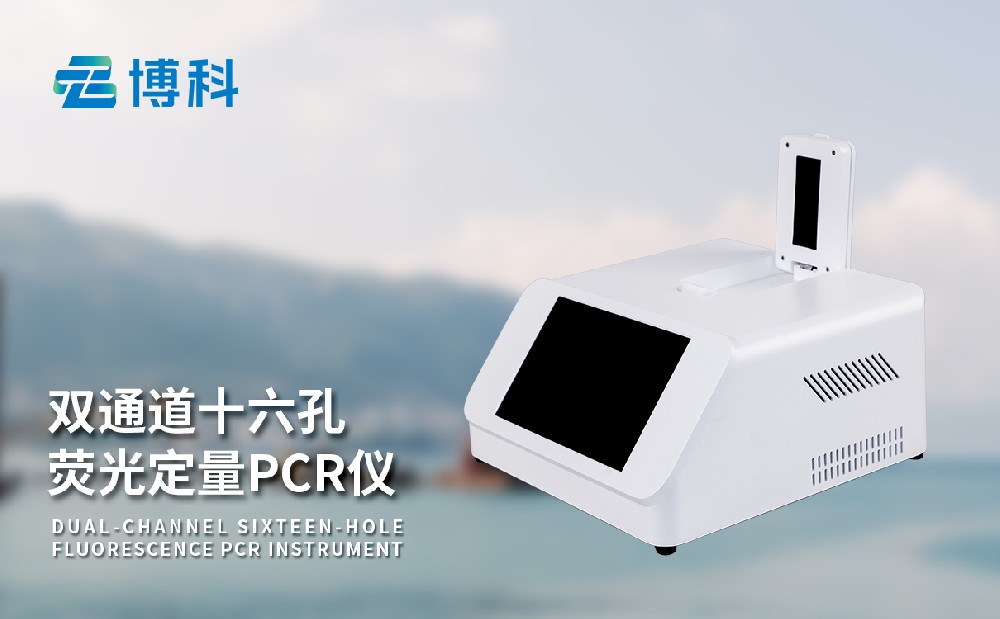 pcr荧光快速1xbet官网