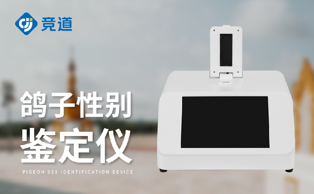 鸽子性别1xbet官网