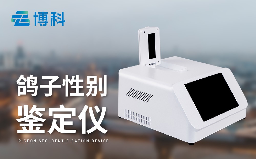 鸟类性别1xbet官网