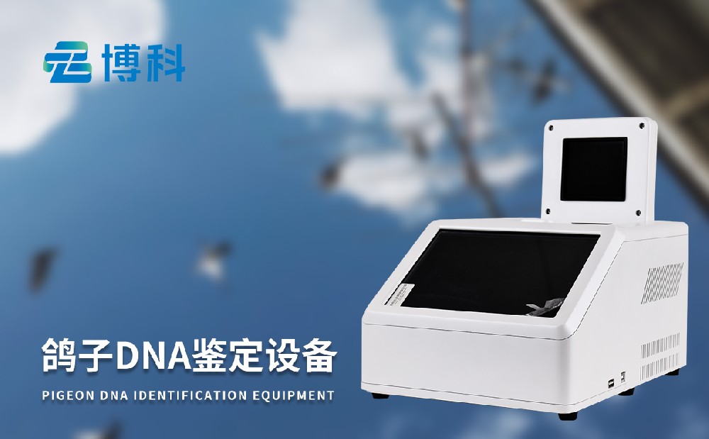 鸽子dna1xbet官网器