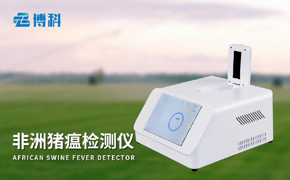非洲猪瘟1xbet官网