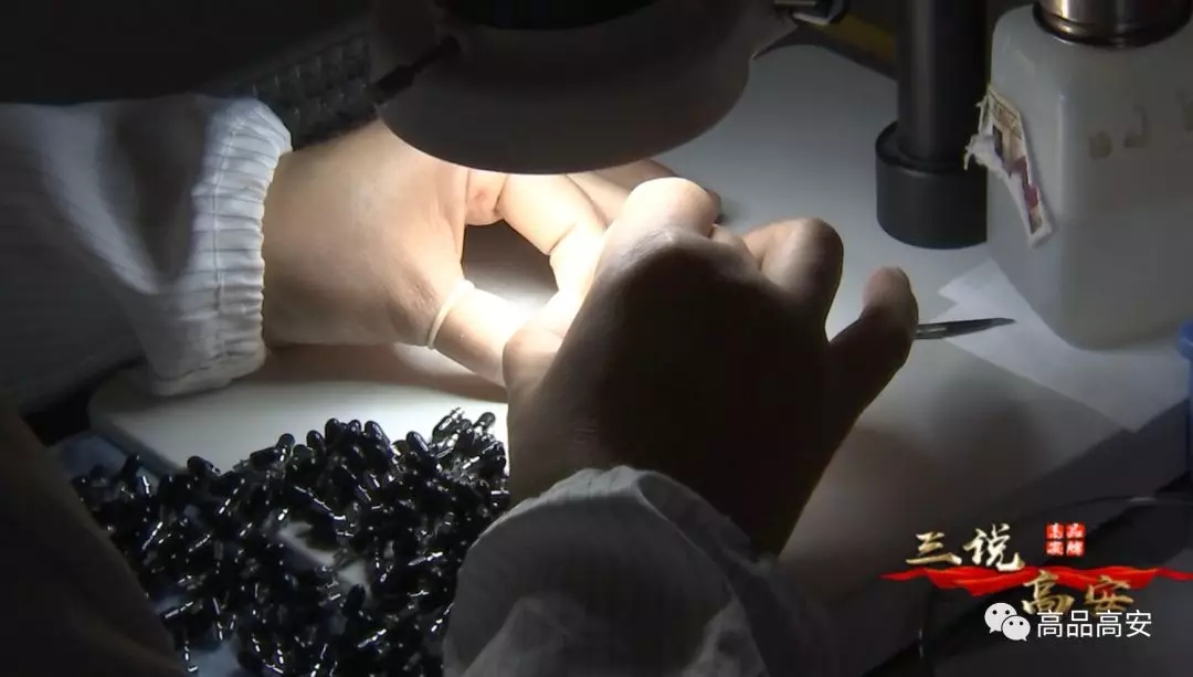 尊龙凯时(中国游)官方网站